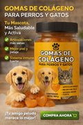 GOMAS DE COLÁGENO