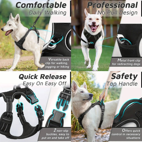 Arnes Collar Perros Grandes Anti Tirones Reflectivo + Correa