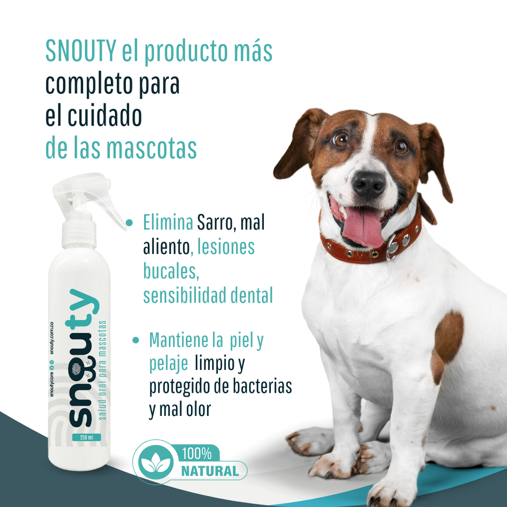 SNOUTY SALUD ORAL MASCOTAS