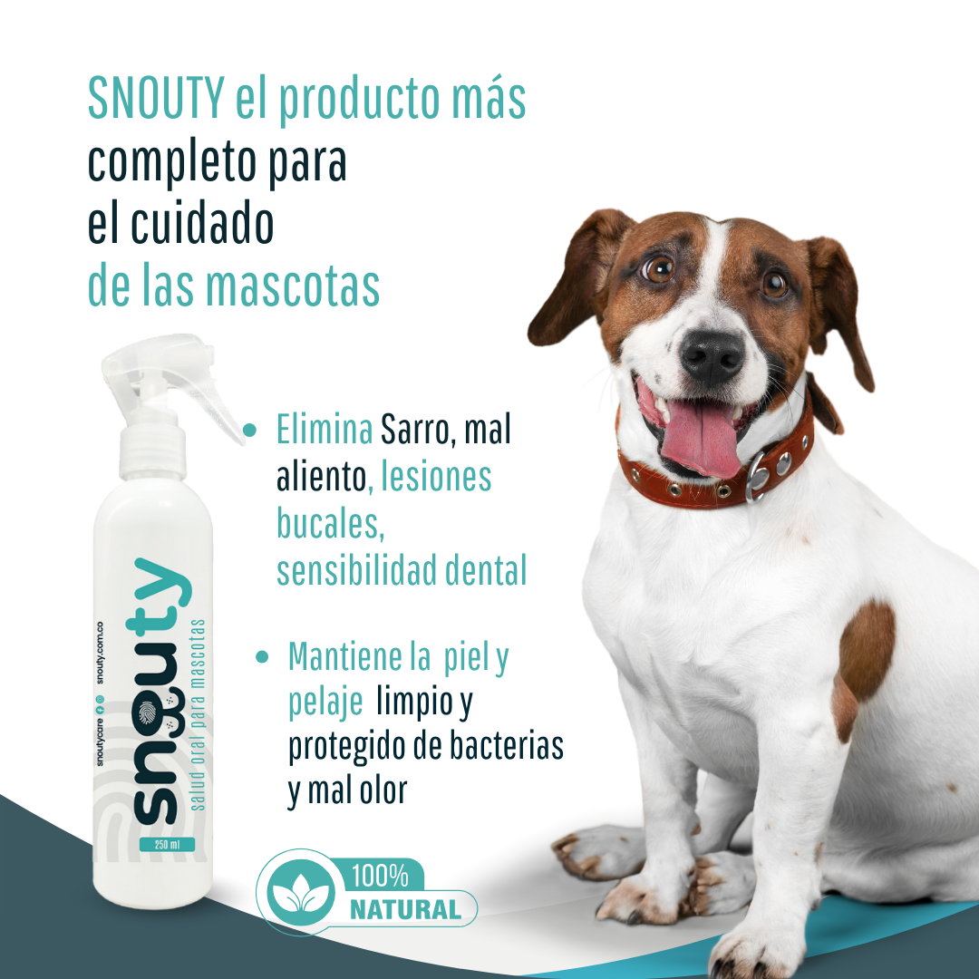 SNOUTY SALUD ORAL MASCOTAS