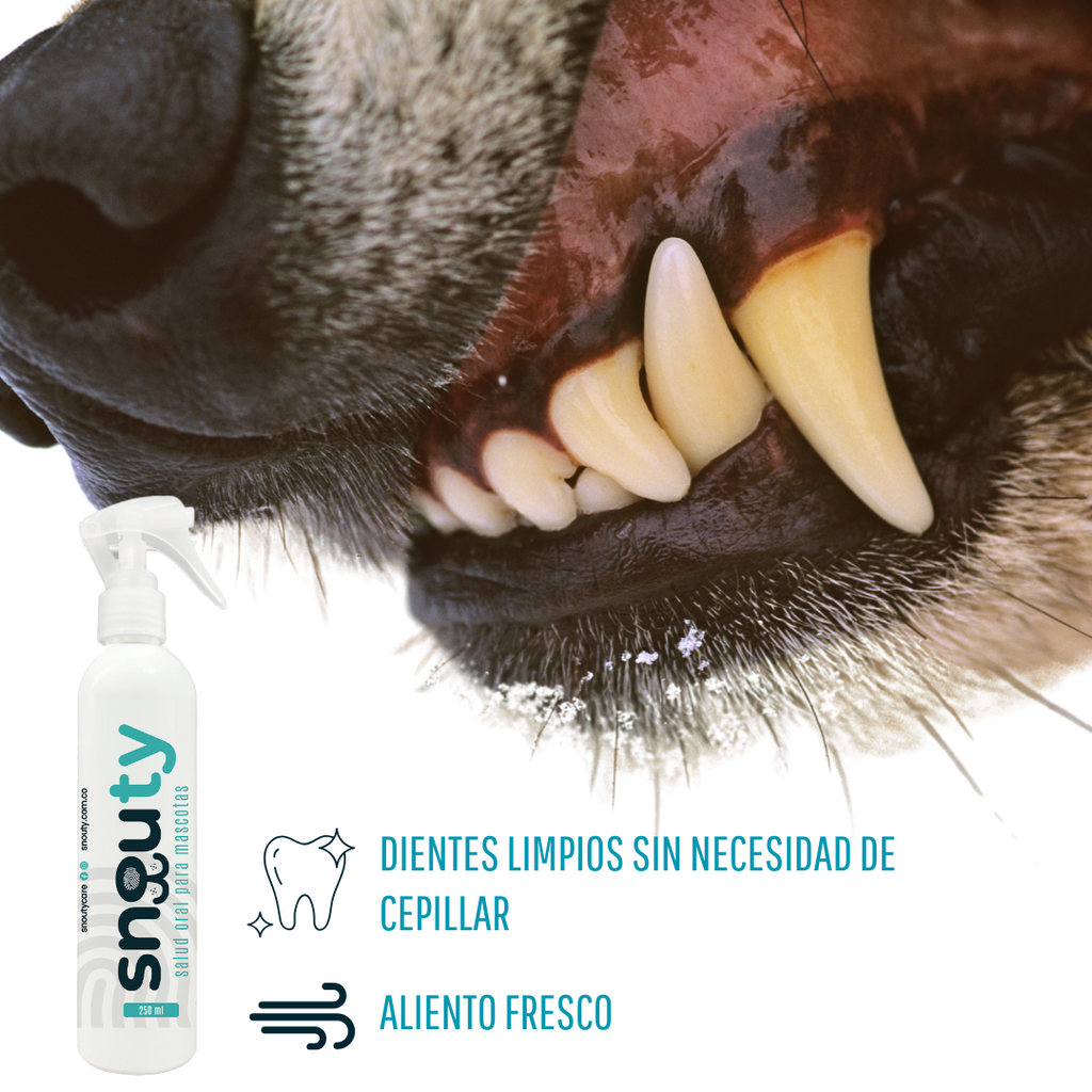 SNOUTY SALUD ORAL MASCOTAS