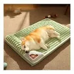 Cama Ortopédica para Perros – Espuma de Alta Densidad, Funda Lavable