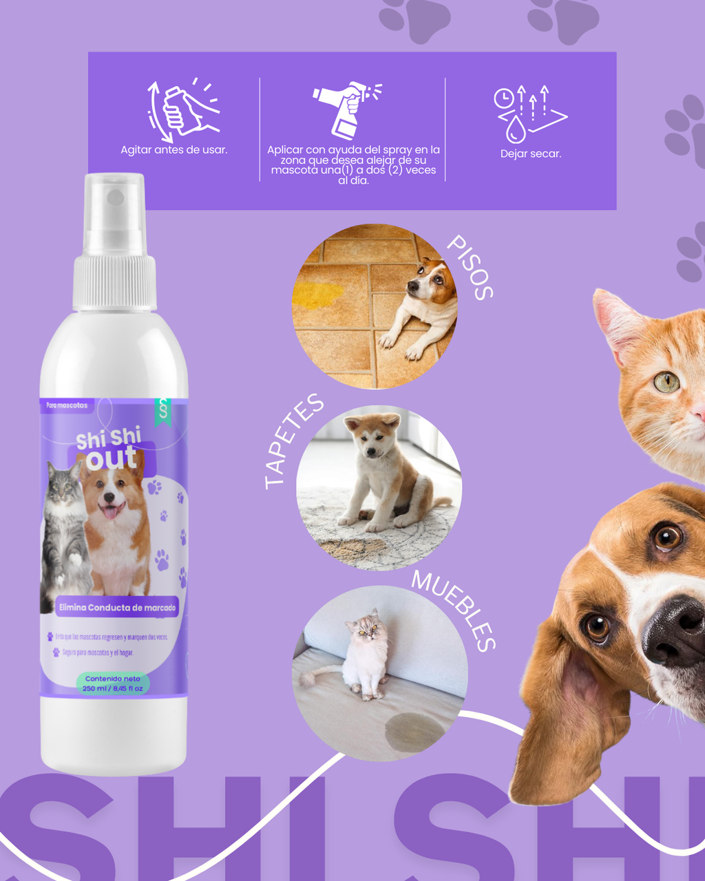 Mastershop Product Image