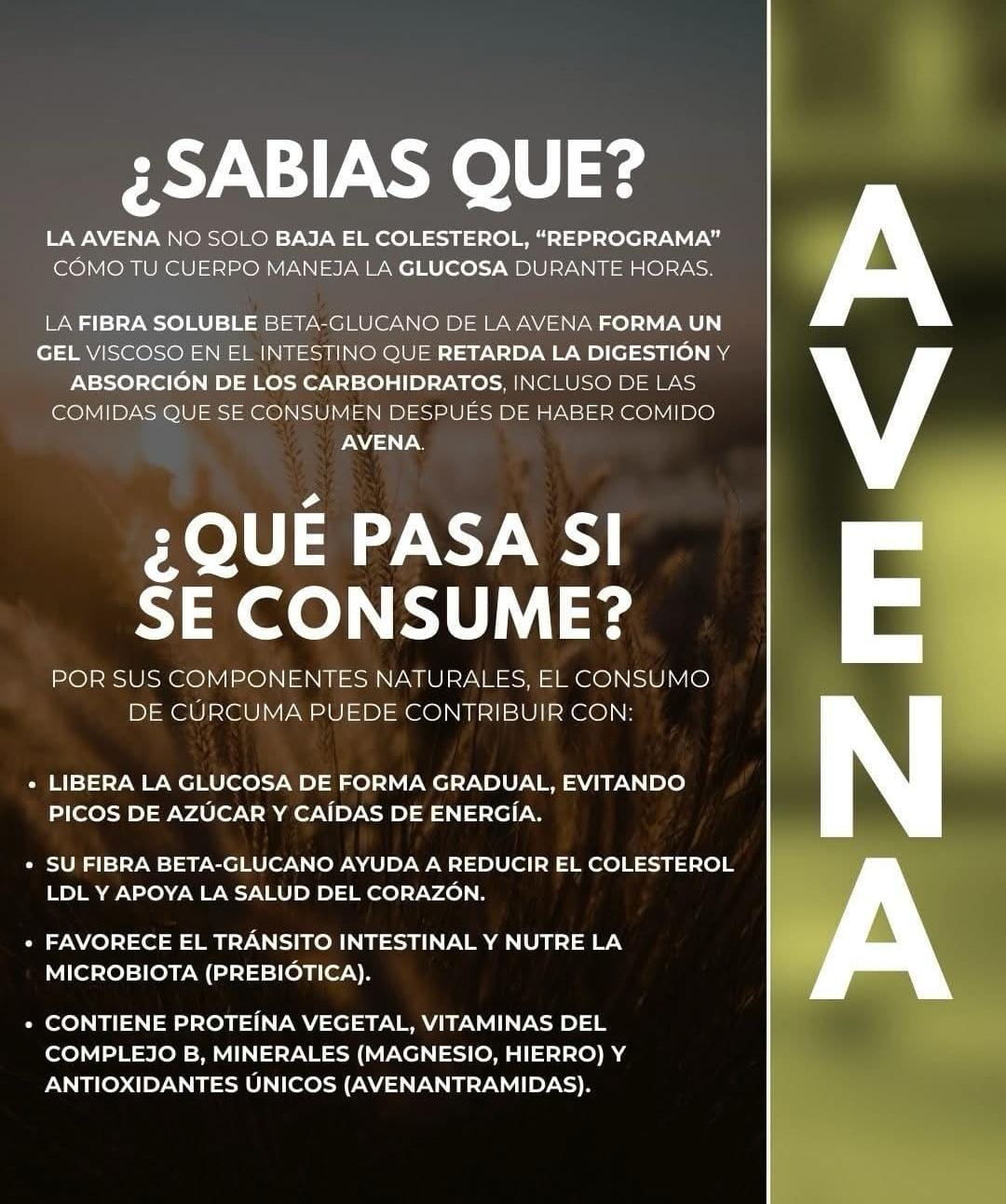 1 BATIDO VERDE DETOX 700GR